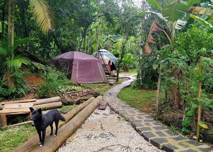 Sitio Simple LifeHotel em Ubatuba